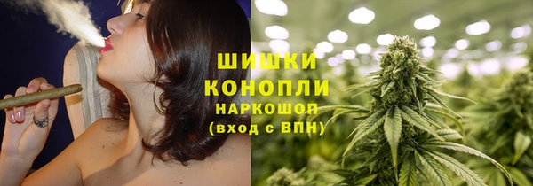 шишки Алзамай