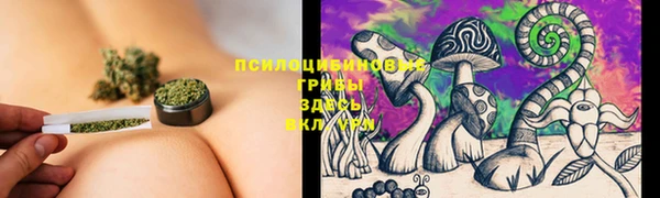 шишки Алзамай