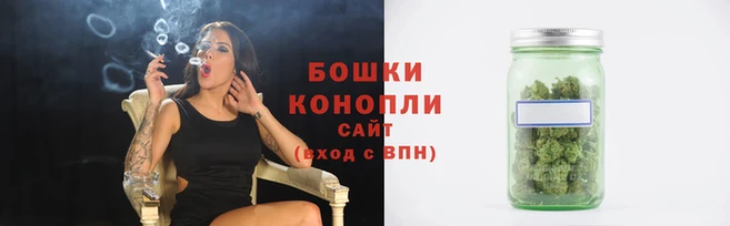 шишки Алзамай