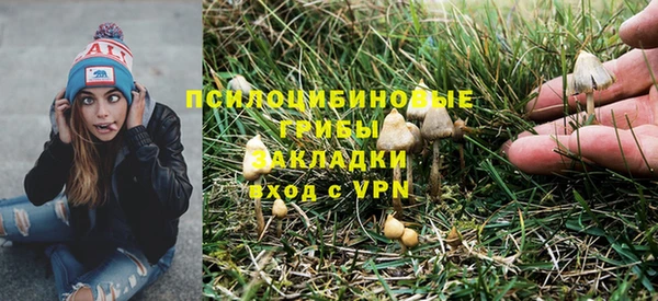 PSILOCYBIN Абаза