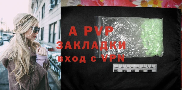 PSILOCYBIN Абаза
