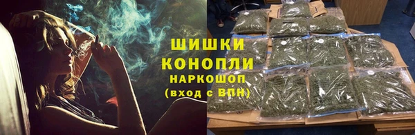 шишки Алзамай