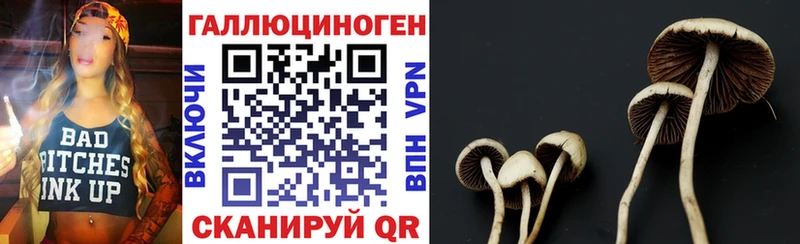 Галлюциногенные грибы MAGIC MUSHROOMS  Кашира 