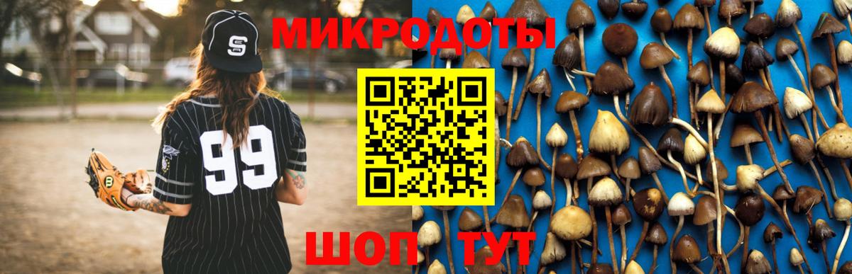 Галлюциногенные грибы Psilocybine cubensis Кашира