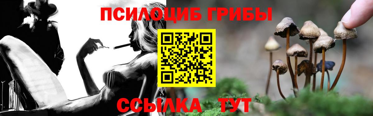 Галлюциногенные грибы Psilocybe  Псилоцибиновые грибы мицелий  Вход с VPN  Кашира 